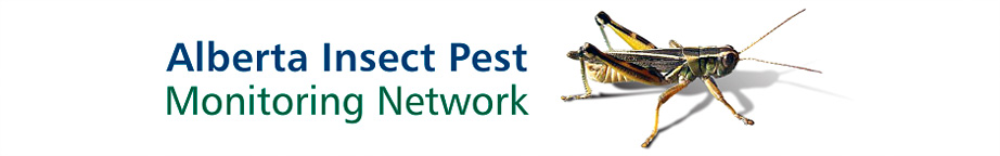 Alberta Insect Pest Monitoring Network