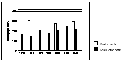 Figure 3. Average pre-feeding concentrations of particulate chlorophyll in the rumen of bloating and non-bloating cattle