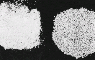 Figure 4. Left: dry-rolled grain is too fine and can cause bloat Right: tempered and rolled grain is coarse and free of dust