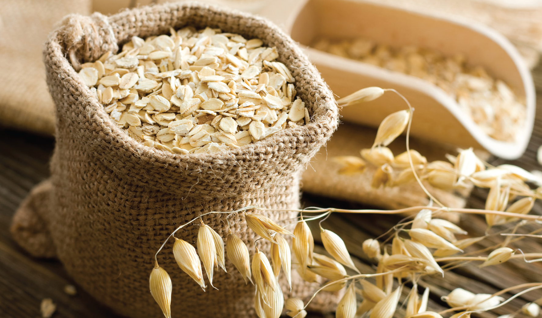 http://www1.agric.gov.ab.ca/$Food+and+Ag+Processing/foodindy.nsf/Attached/36/$FILE/AGRI-EXPORT_2015_CanadianOats_OatProductsProduct.png