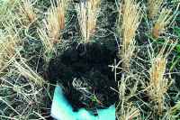 Aggregation is best under sod or no-till. Annual cultivation hastens decomposition of organic matter