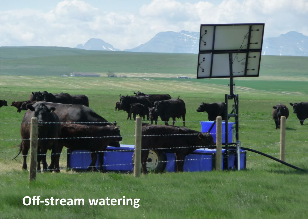 Off-stream watering