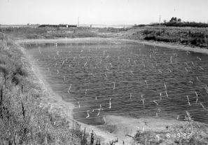 Figure 2. Partially covered system using overhead line/wire and flagging