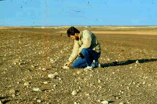 Wind removes smaller soil particles and leaves rocks exposed on the surface.