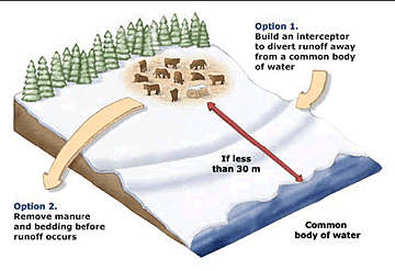 Figure 2. Options for sites that do not meet 30 m setback distance requirements.