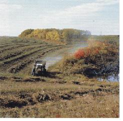 Steeply sloped land can be used for forage production. 