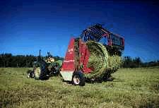 Forage crops protect and improve the soil. 