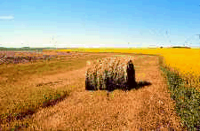 Some landowners produce hay on their waterways.