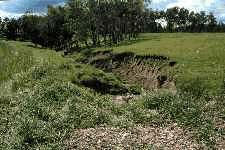 An eroded gully.