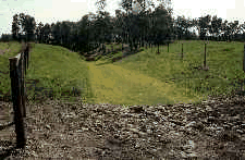 After seeding the lined channel.