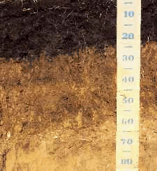 Soils high in organic matter are better able to resist erosion.