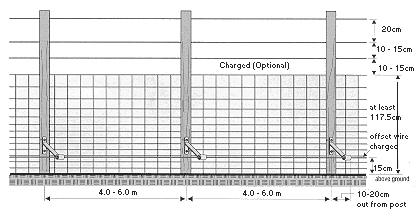 Figure 2. An electrified, high tensile mesh-wire fence, viewed from outside the enclosure .