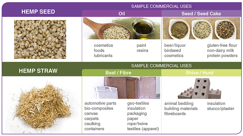 Figure 3. List of sample industrial hemp products