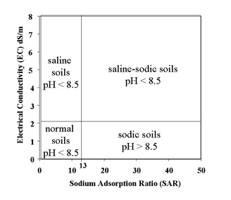 Figure 2. Classes of salt-affected soils 