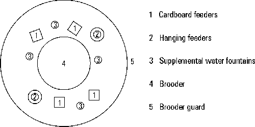 Figure 1. Brooding diagram