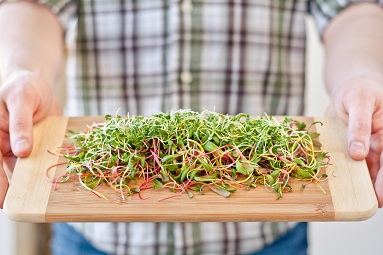 microgreens