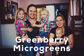 Greenberry Microgreens