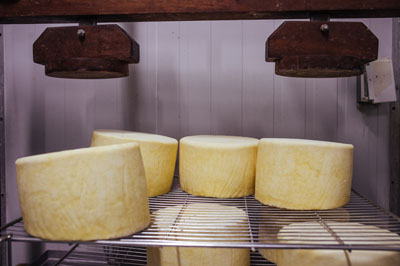 Winding Road Artisan Cheese