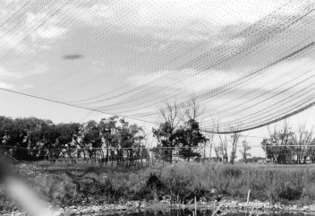 Figure 1. Partially covered system using overhanging net