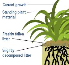 Figure 5. Litter Types