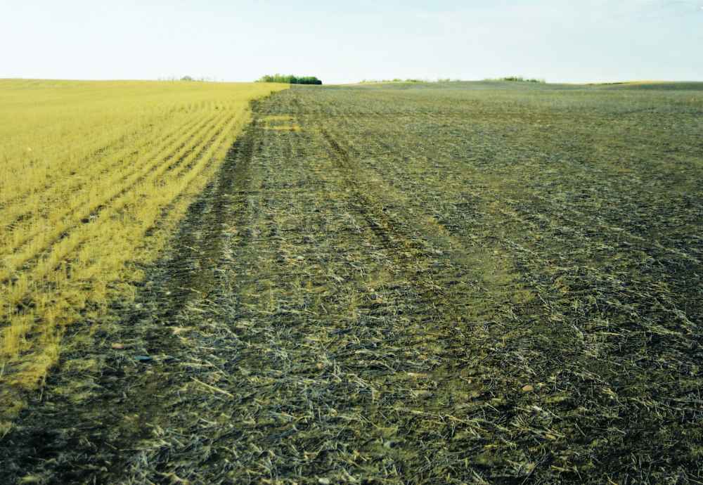 Beneficial Management Practices Environmental Manual for Crop