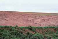 Bare soils are vulnerable to erosion.