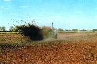 Surface-applied manure must be incorporated into the soil within 48 hours.