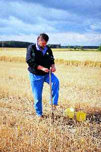 People applying over 500 tonnes of manure annually must perform soil tests, but soil tests are a valuable tool for any crop producer.
