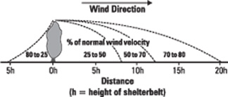 Figure 1. Approximate reduction of wind velocity by a single-row shelterbelt.