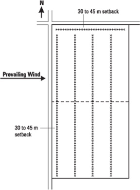 Figure 3. Example design of a single-row field shelterbelt system for a half section oriented north-south.