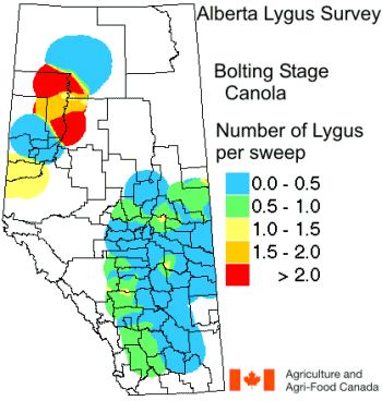 Figure 4. Density of lygus bugs in canola at bolting stage, Data shown are from 163 fields sampled during June 1998 