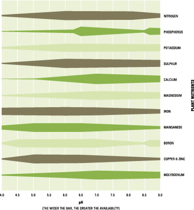 Nutrient availability as affected by pH