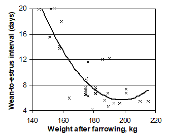 Lighter first-litter sows that lost more than 15 kg in lactation took longer to return to heat