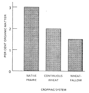 Figure 1. effect of frequency of fallow on per cent organic matter.