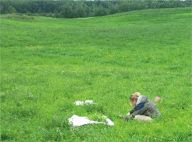 Vegetation sampling at a benchmark site