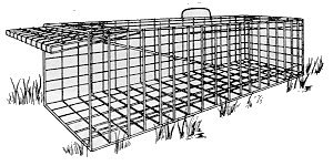 Figure 2. Open mesh hare trap 