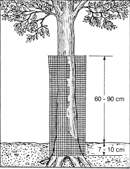 Figure 3. Mechanical barrier 