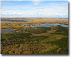 Boreal Mixedwood