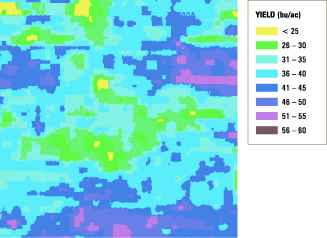 Yield map showing yield variation within a sample field.