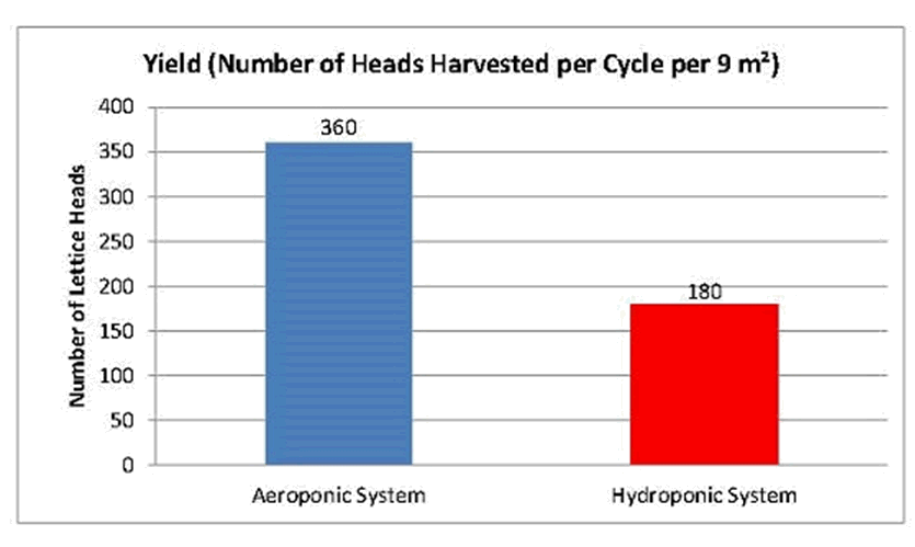 Lettuce yield/productivity differs between areoponic and hydroponic systems