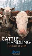Cattle Handling: Psychology of a Cow (Video)