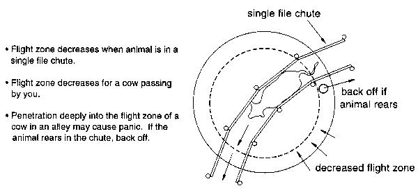 hcfig3.gif - 5Kb - AAFRD