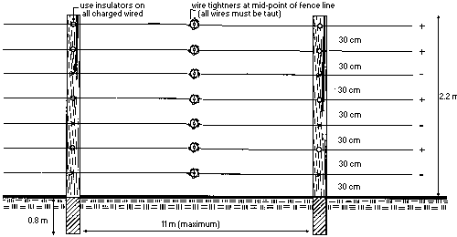 Figure 2. Electric fence configuration. 