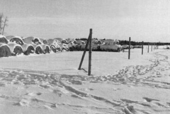 Figure 1. Elk tracks by the electric fence. 