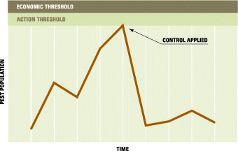 Threshold levels for pest control