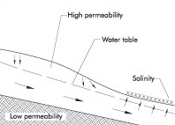 Figure 3 Contact salinity