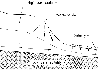 Figure 5. Outcrop salinity