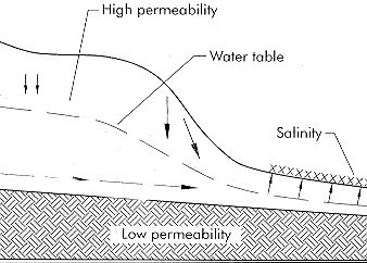 Figure 5. Outcrop salinity 