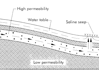 Figure 6. Artesian salinity