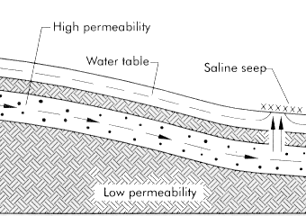Figure 6. Artesian salinity 